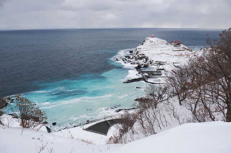 260130群来(祝津、広報)