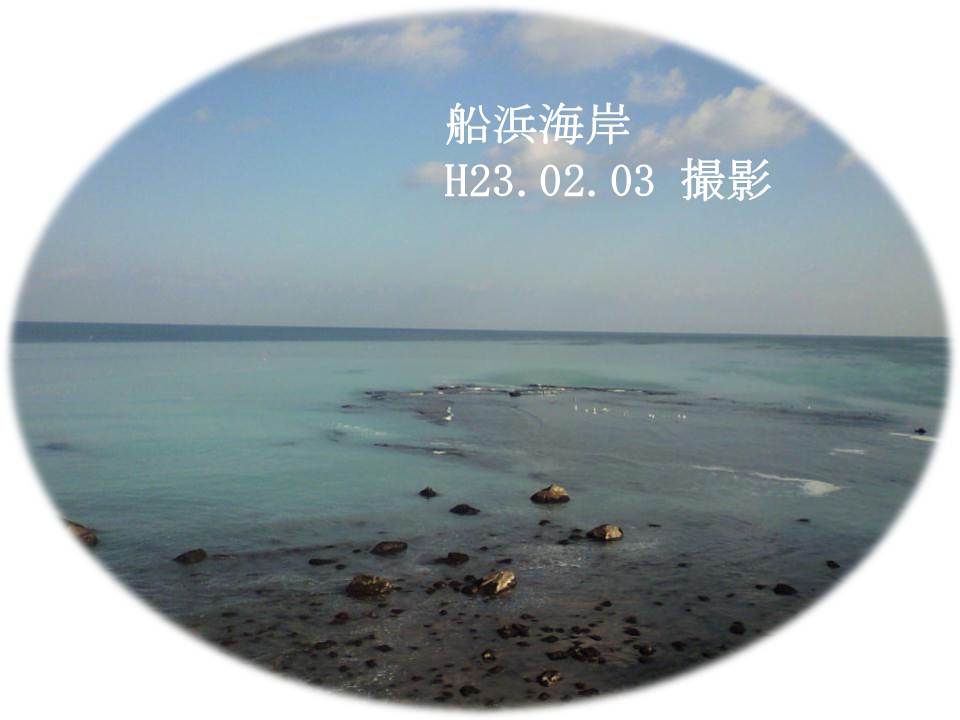 H23船浜群来写真