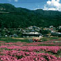 朝里川温泉郷とスキー場