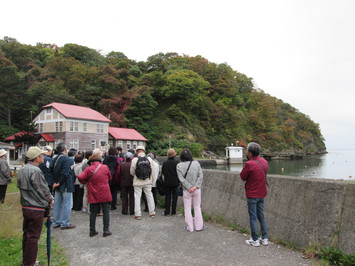 竜ヶ岬とカブト岩の見学の様子