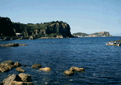 豊井浜から望む高島岬