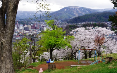 手宮公園（春）