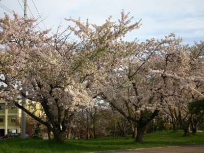 平磯公園