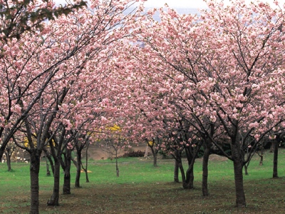 長橋なえぼ公園