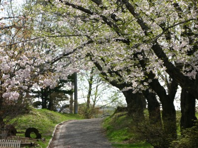 小樽公園