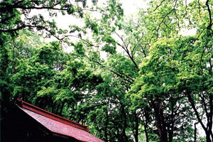 塩谷神社