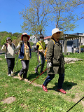 タウン