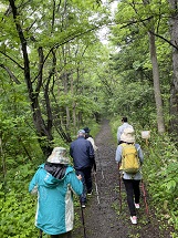 なえぼ公園の中を歩く様子