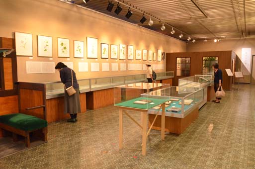 左川ちか展