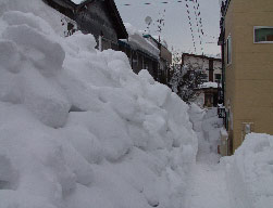 シリーズ災害に備える雪害