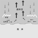 新シリーズ災害に備える１_離岸流