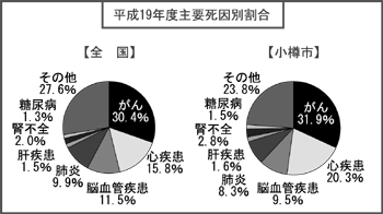 平成19年度主要死因別割合