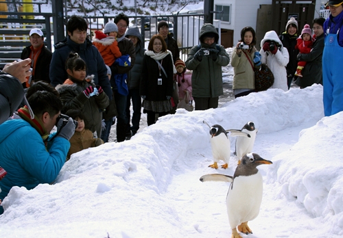 おたる水族館冬季特別営業