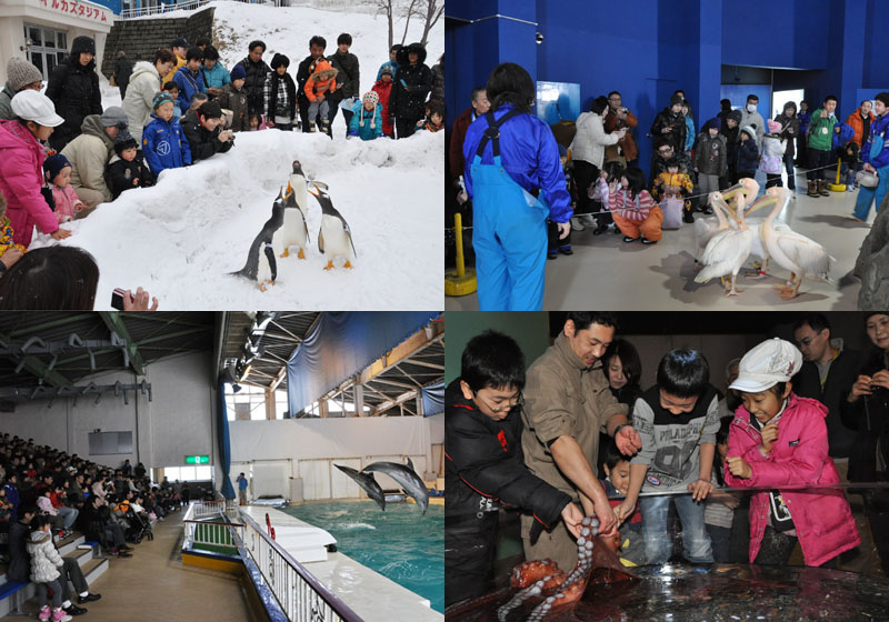 おたる水族館が冬期特別営業を開始