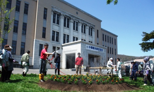 市役所花壇の植込み