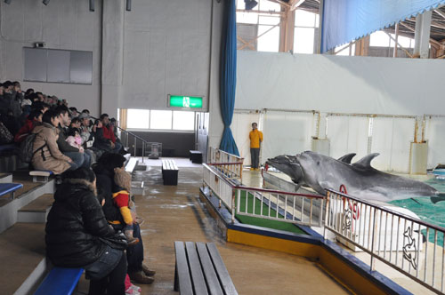 おたる水族館冬期特別営業2