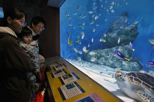 おたる水族館通年営業を開始