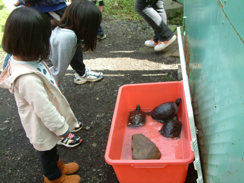 ペットの飼い主探し