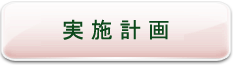 実施計画 実施計画