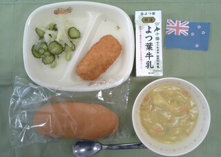 20250129Bコース ニュージーランド 20250129 ニュージーランド
