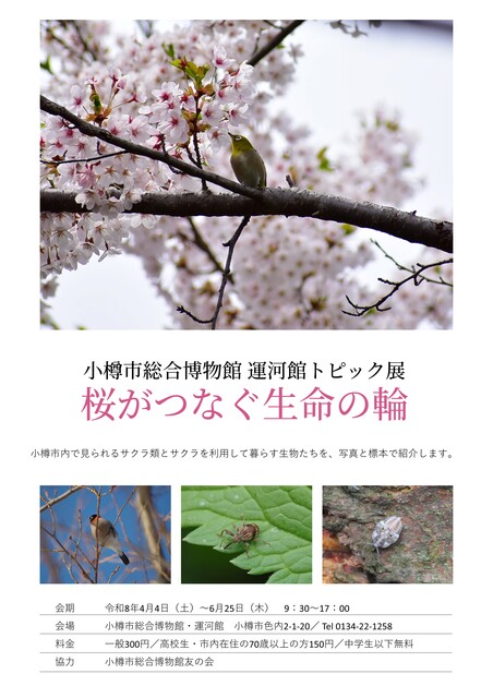 桜がつなぐ生命の輪チラシ