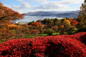手宮公園緑化植物園の紅葉の様子
