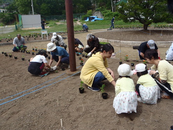 入船公園植花会植付の様子