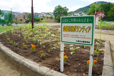 植え込みその３