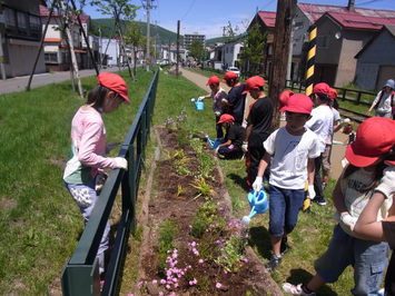 植えた花に水をあげる地域の小学生の様子
