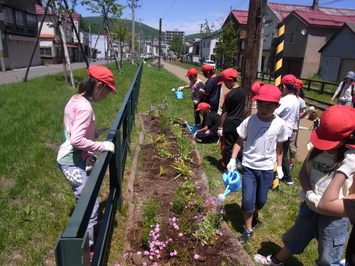 植えた花に水をあげる地域の小学生の様子