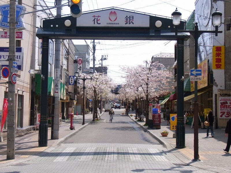 花銀昼桜