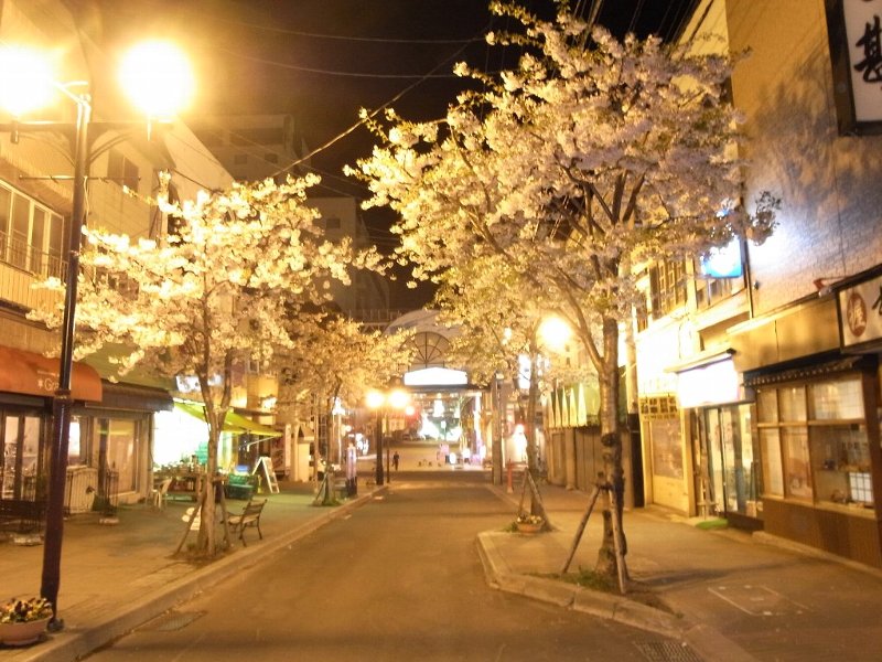 花銀夜桜