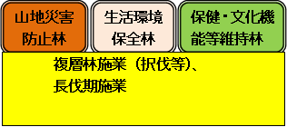 山地災害防止林 生活環境保全林 保健・文化機能等維持林 複層林施業（択伐等）、長伐期施業