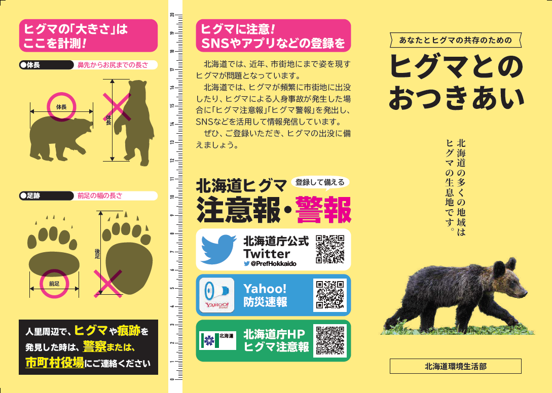 ヒグマパンフレット表