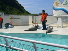 小樽水族館を見学2