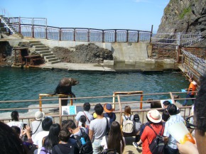 小樽水族館を見学3
