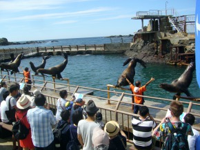 小樽水族館を見学4