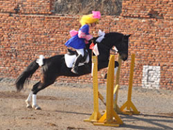 仮装乗馬競技会