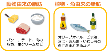 動物由来の脂肪（バター、ラード、肉の脂身、生クリームなど）、植物・魚由来の脂肪（オリーブオイル、ごま油、さば・さんま・イワシ等の魚に含まれる油など）、脂肪は量と質を考えて摂りましょう。