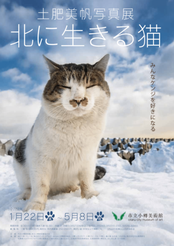 土肥美帆写真展 北に生きる猫　のチラシ