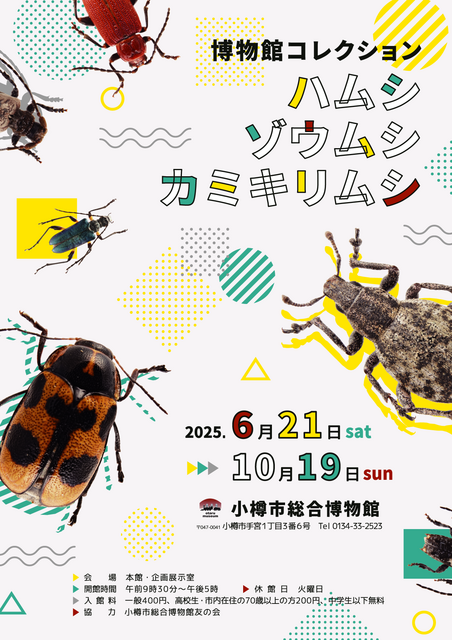 ハムシ・ゾウムシ・カミキリムシ展チラシ表