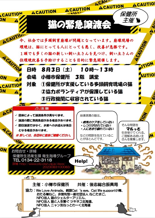 8月3日土曜日午前10より、保健所にて猫の緊急譲渡会を開催します
