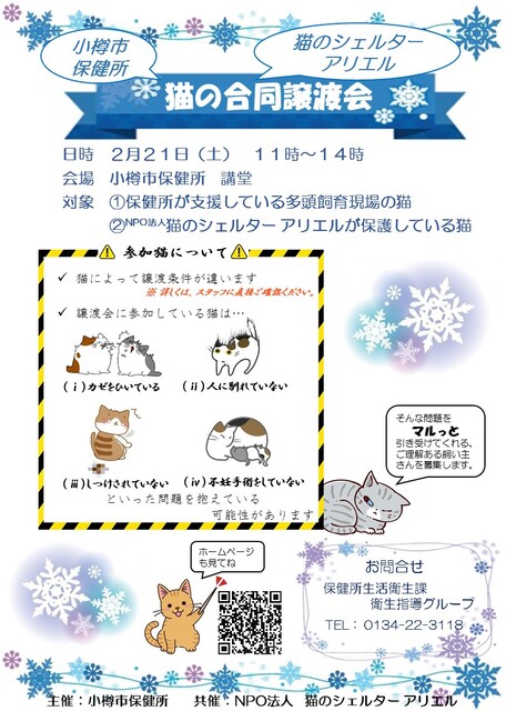 2月21日土曜日午前11時より、保健所にて猫の譲渡会を開催します。