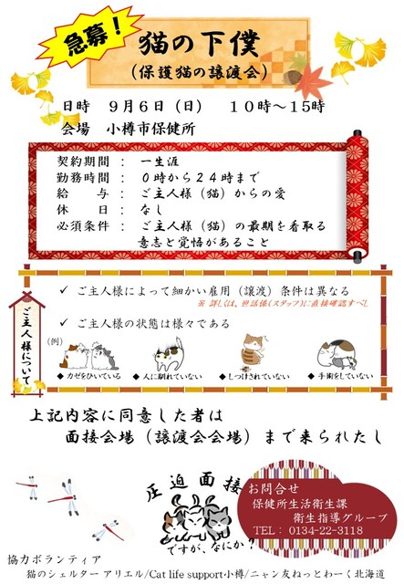 9月6日日曜日午前10時より、保健所にて猫の譲渡会を開催します。