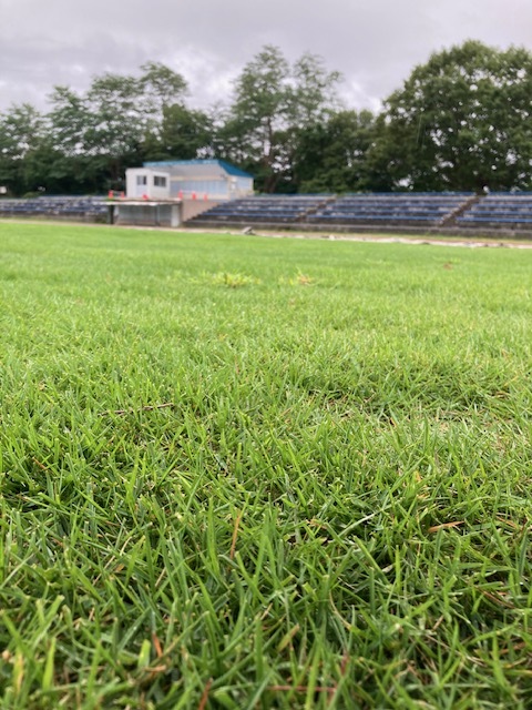 手宮公園競技場芝1