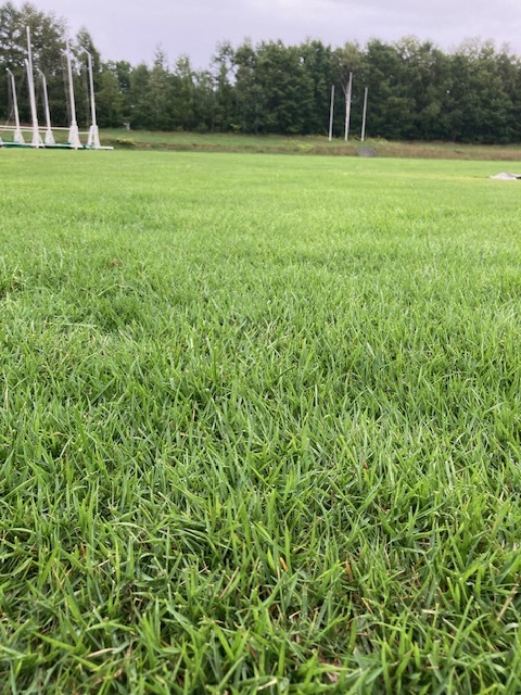 手宮公園競技場芝3