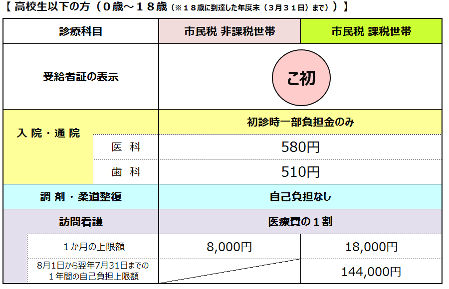 拡大後　助成内容