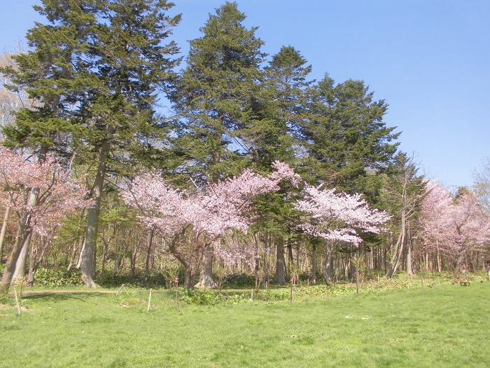 長橋なえぼ公園2