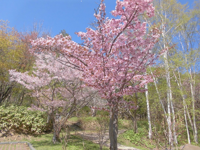 長橋なえぼ公園3