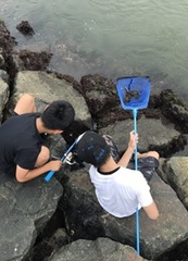 豊かな小樽の海と山の食材のことを知ろう写真1